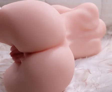 Male Sex Dolls vs Female Sex Dolls Key Differences Explained